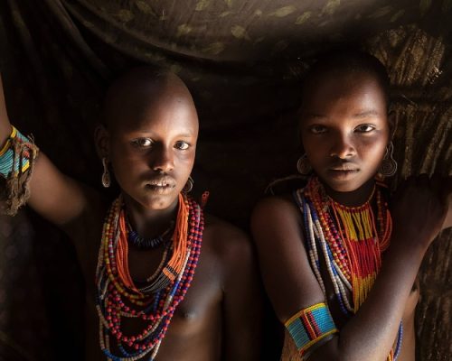 Arbore
