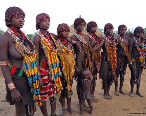 hamer tribe